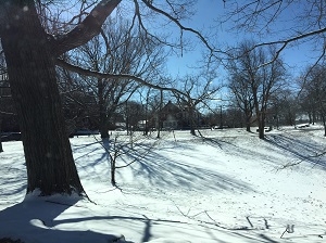 昭和ボストンの雪景色.jpg