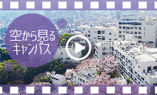 空から見るキャンパス