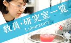 神戸薬科大学 Kobe Pharmaceutical University