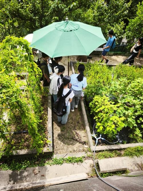 https://www.kobepharma-u.ac.jp/botanical-gardens/event/IMG_7104-1.jpg