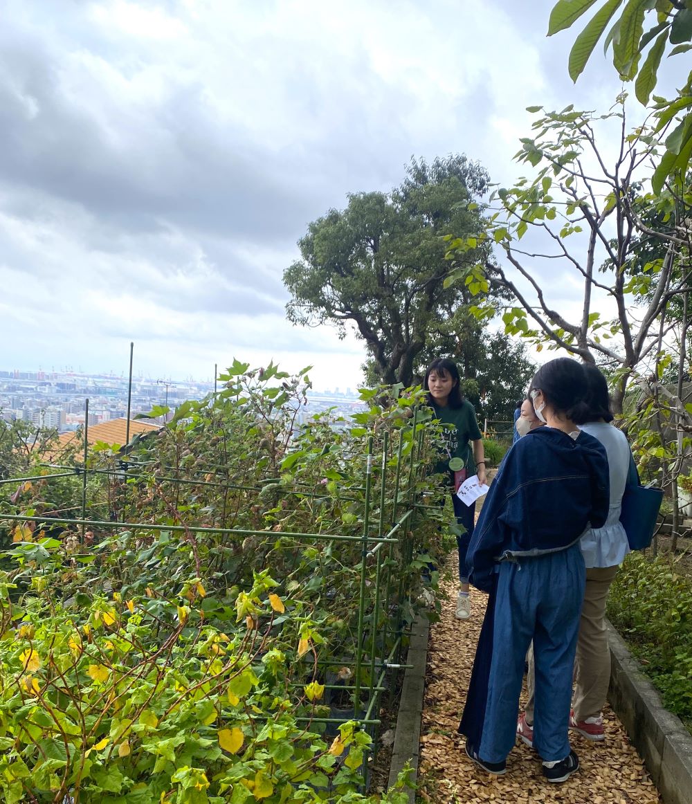 https://www.kobepharma-u.ac.jp/botanical-gardens/event/images/IMG_0786.jpg