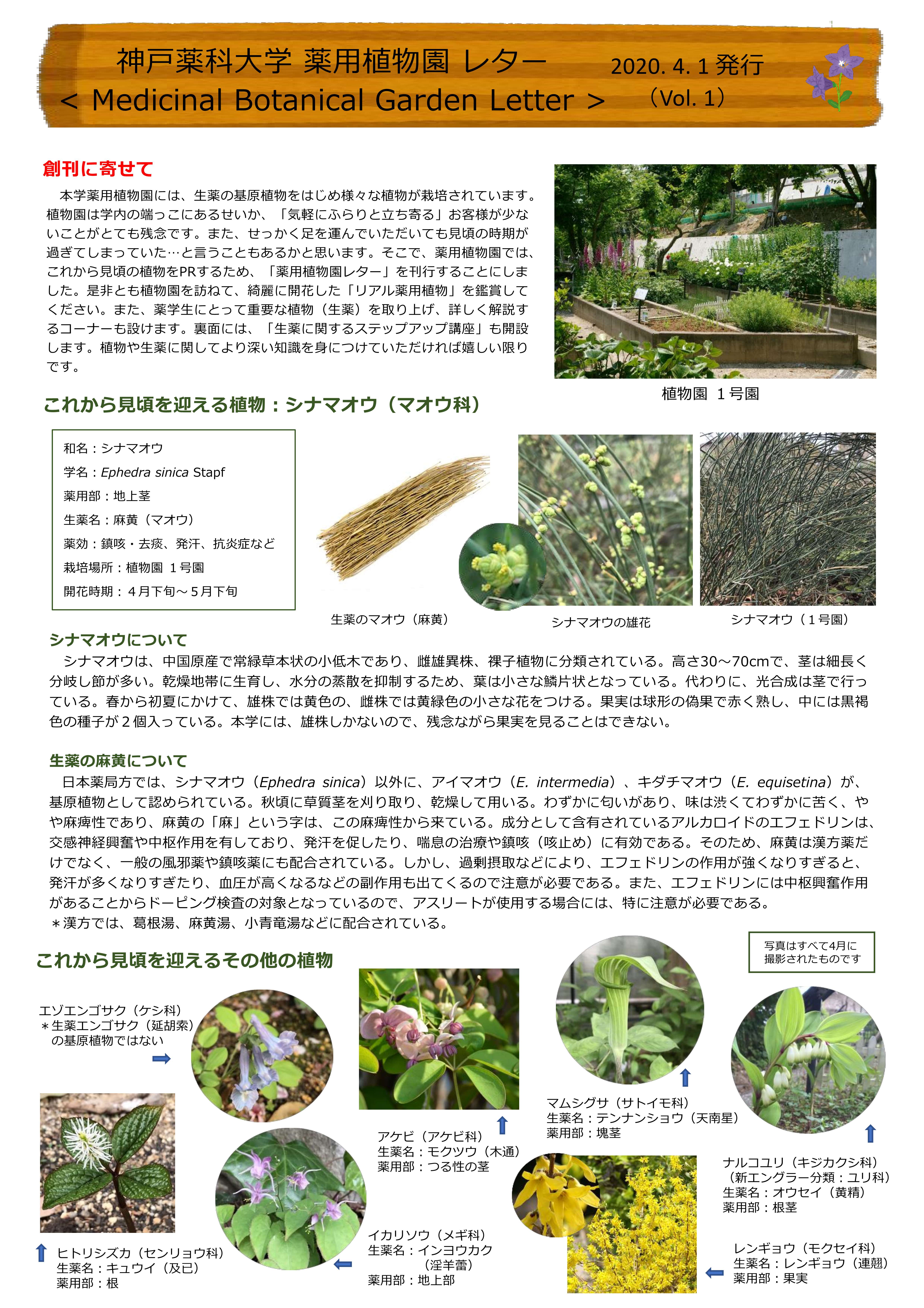 神戸薬科大学薬用植物園レター