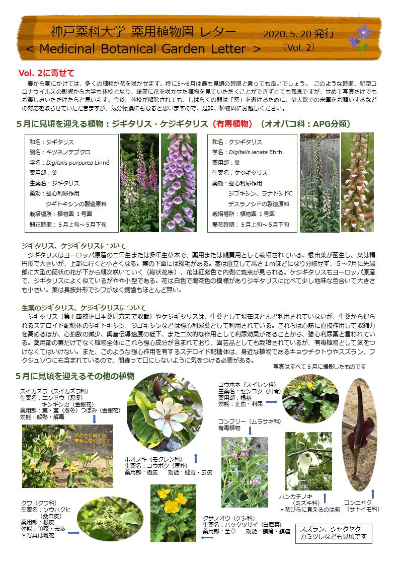 神戸薬科大学 薬用植物園 レター」 5月号（Vol.2）を発行しま