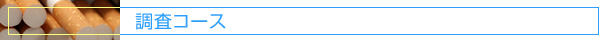 調査コース