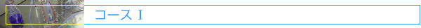コースI