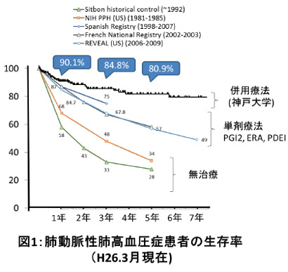 動脈硬化の進行の様子