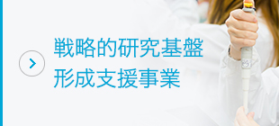 戦略的研究基盤形成支援事業