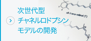 次世代型チャネルロドプシンモデルの開発