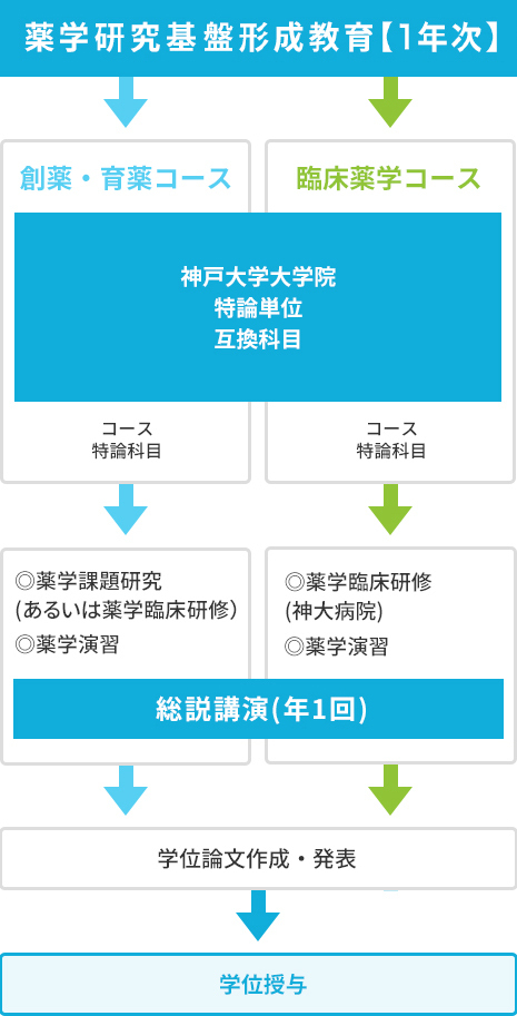 薬学研究基盤形成教育【1年次】