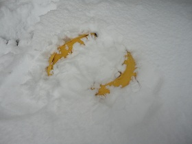 Banana in snow(0307).jpg