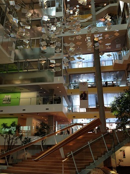 GENZYME1.jpg