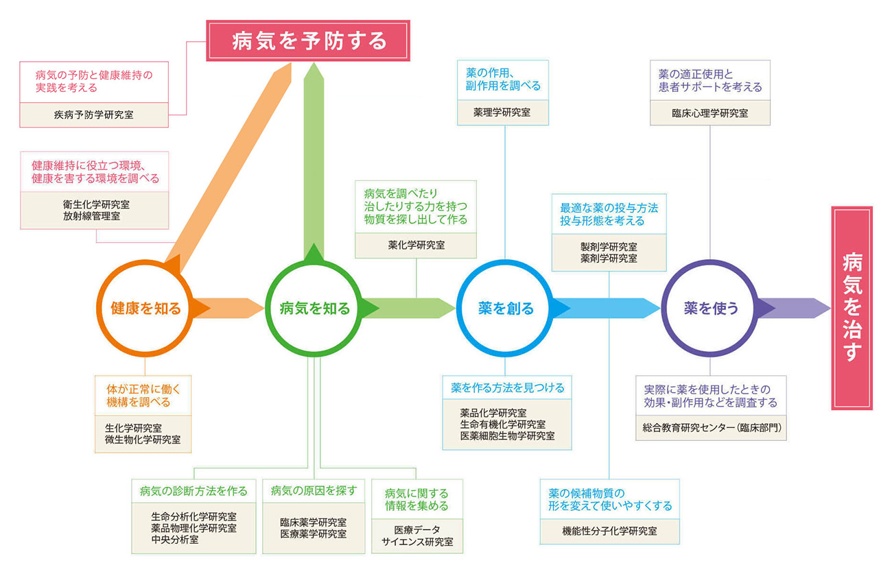 神戸薬科大学における薬学研究