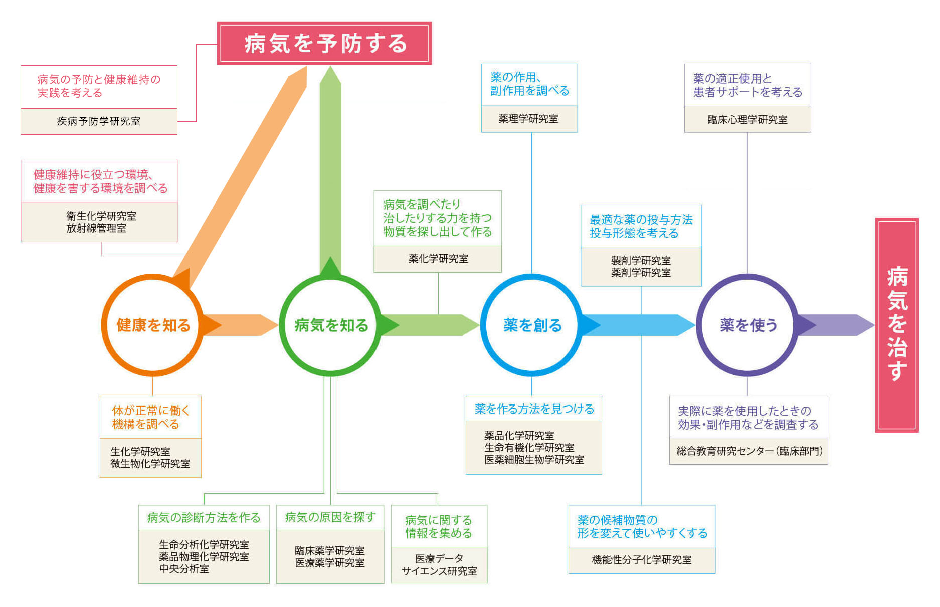 神戸薬科大学における薬学研究