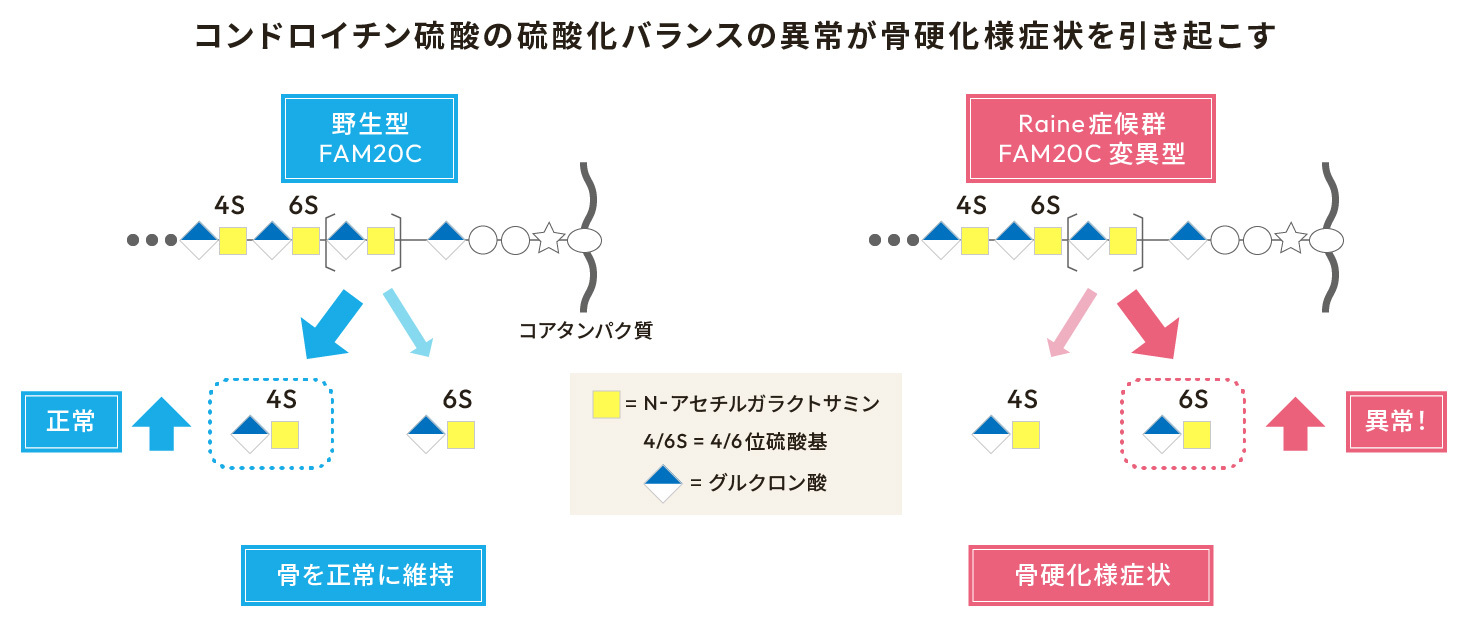 図1