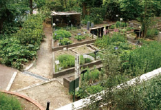Medicinal Botanical Garden
