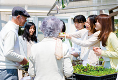 写真植物園の開放