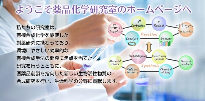 ようこそ薬品科学研究室のホームページへ　私たちの研究室は、有機合成化学を駆使した創薬研究に携わっており、環境にやさしい効率的な有機合成手法の開発に焦点を当てた研究を行うとともに、医薬品創製を指向した新しい生物活性物質の合成研究を行い、生命科学の分野に貢献します。