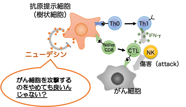 腫瘍免疫