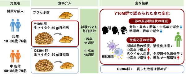 20261009.png