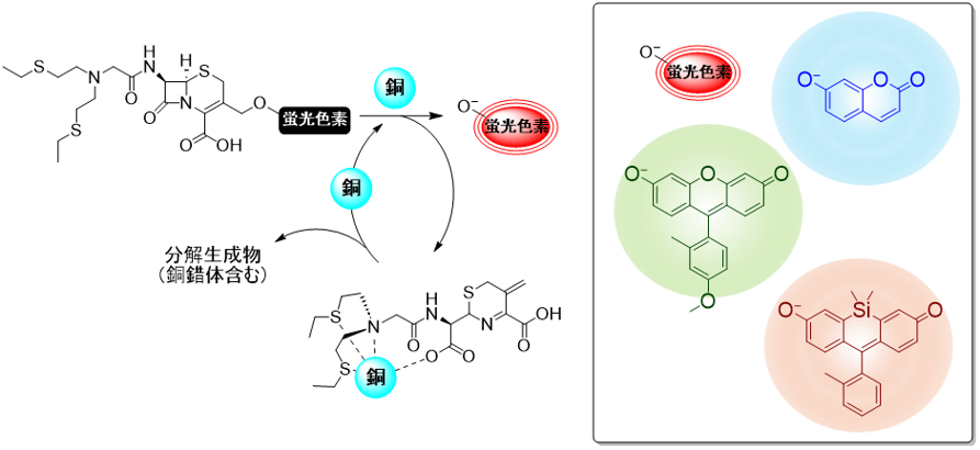 54dcb16c4f1142f1a67a4d9fe1d6a3ce1a4ef9c1.png