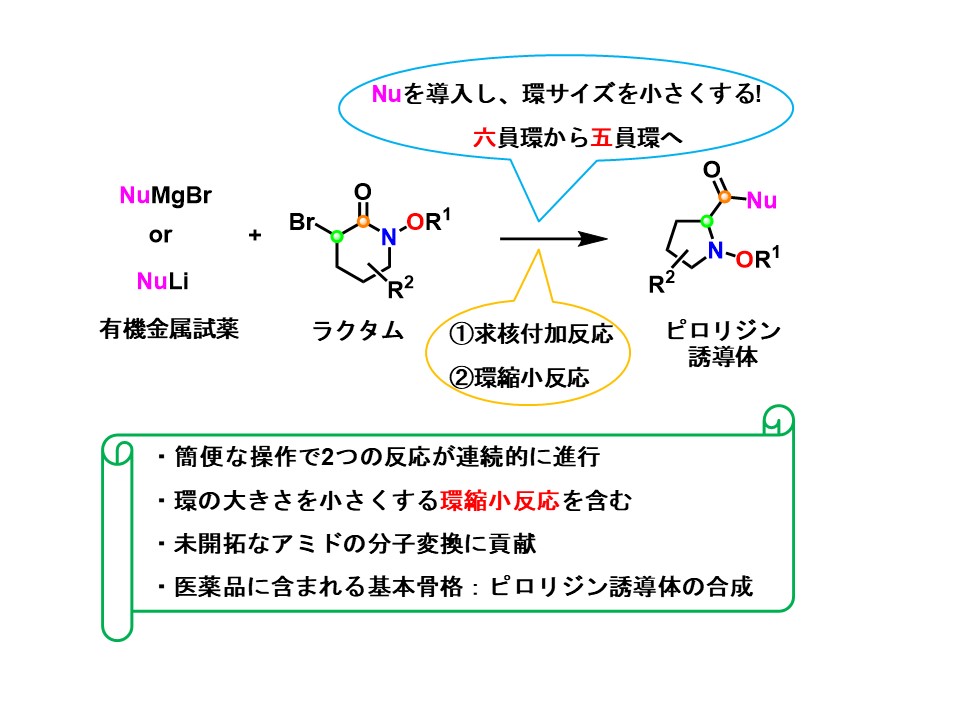 【プレスリリース】環状構造を組み換える新たな分子変換技術の開発（薬品化学研究室）