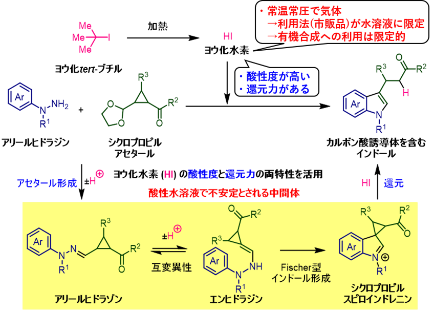 【プレスリリース】無水ヨウ化水素の特性を活かした新規インドール合成法の開発(薬品化学研究室)