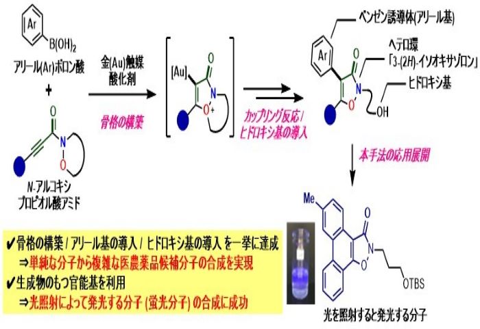 【プレスリリース】金触媒を利用したヘテロ環合成(薬品化学研究室)