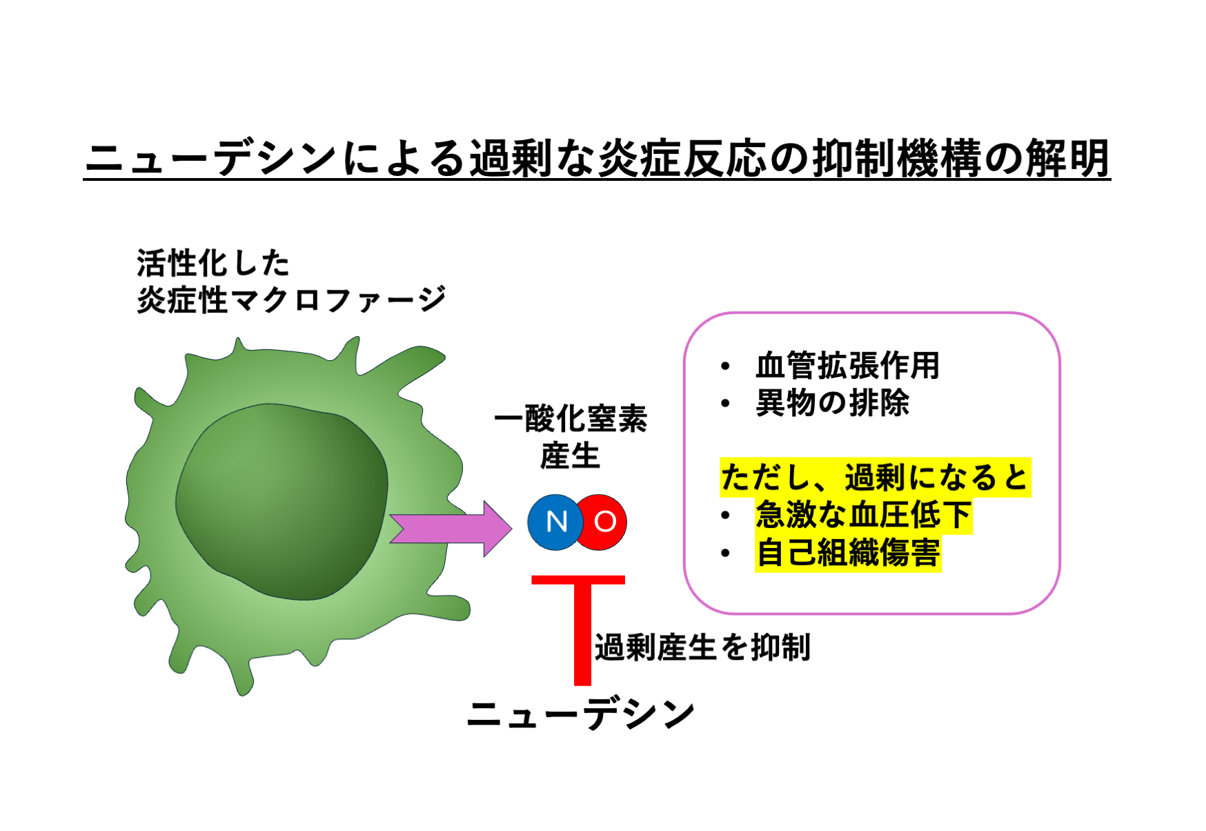【プレスリリース】分泌タンパク質「ニューデシン」が炎症反応を抑制するメカニズムを解明(微生物化学研究室)